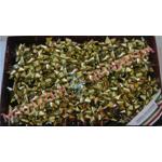STELLE "6870 SPLENDID" ORO mm. 14 - 100 pz